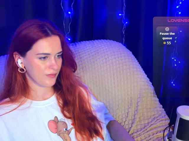 Veks webcam