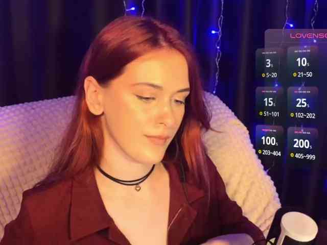 Veks webcam