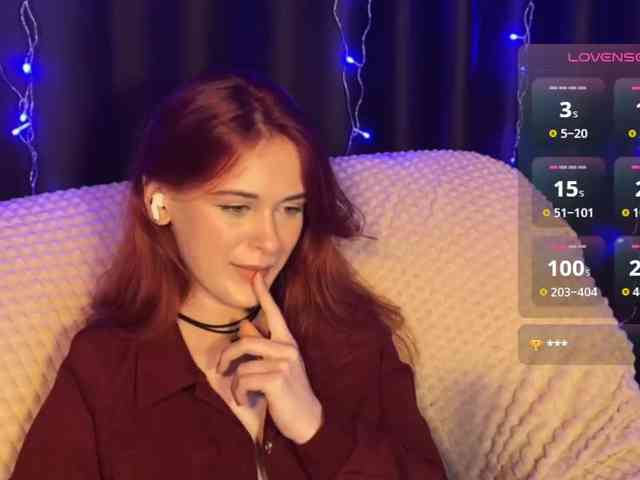 Veks webcam
