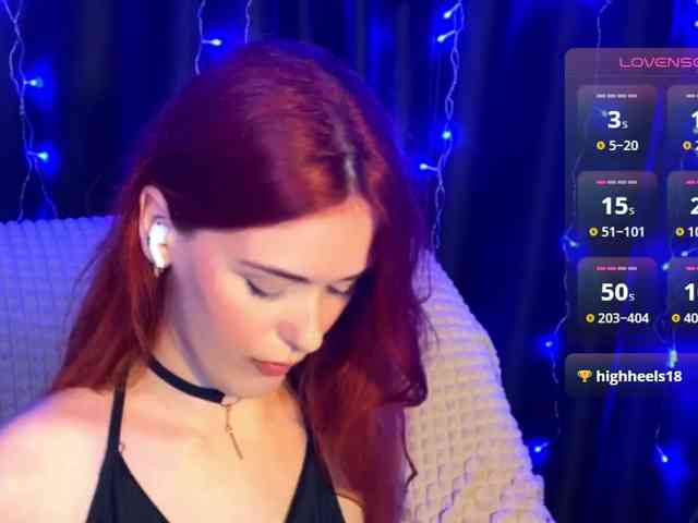 Veks webcam