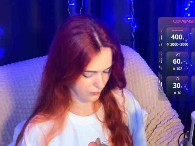 Veks webcam