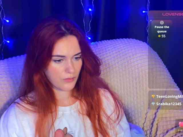 Veks webcam