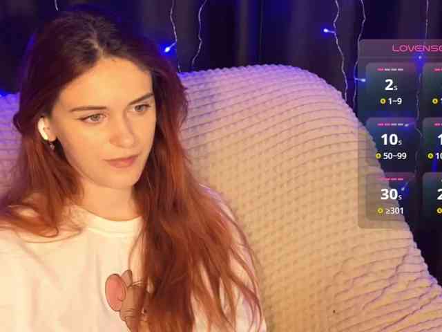 Veks webcam