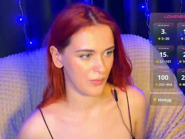 Veks webcam
