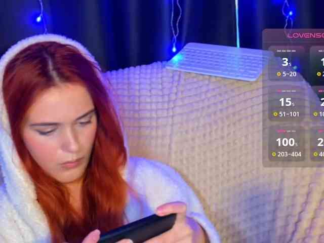 Veks webcam