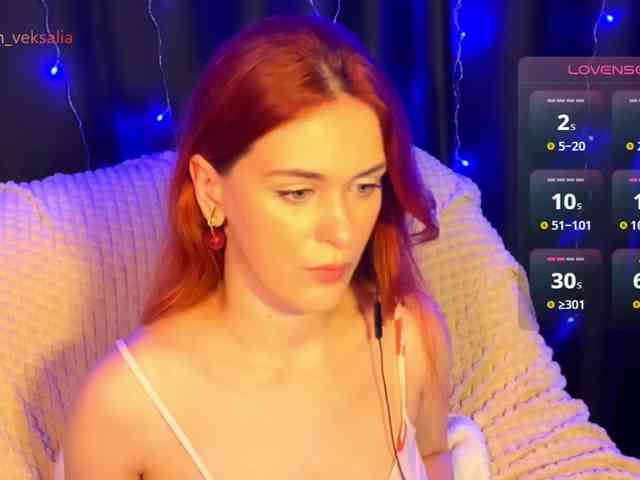 Veksalia webcam