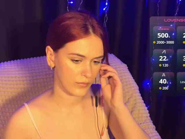 Veks webcam