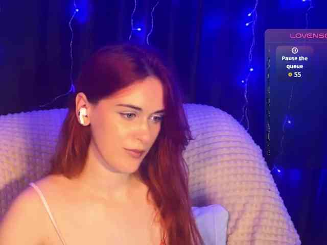 Veks webcam