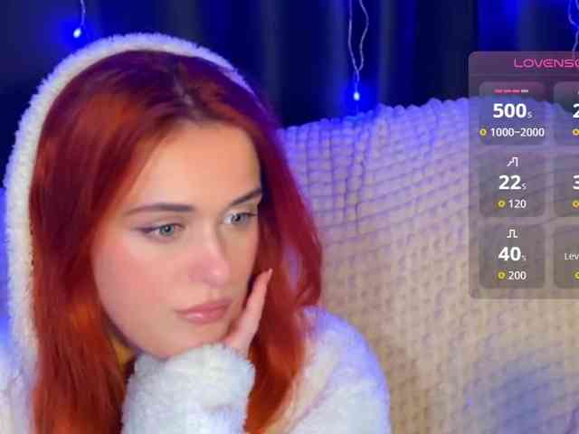 Veks webcam
