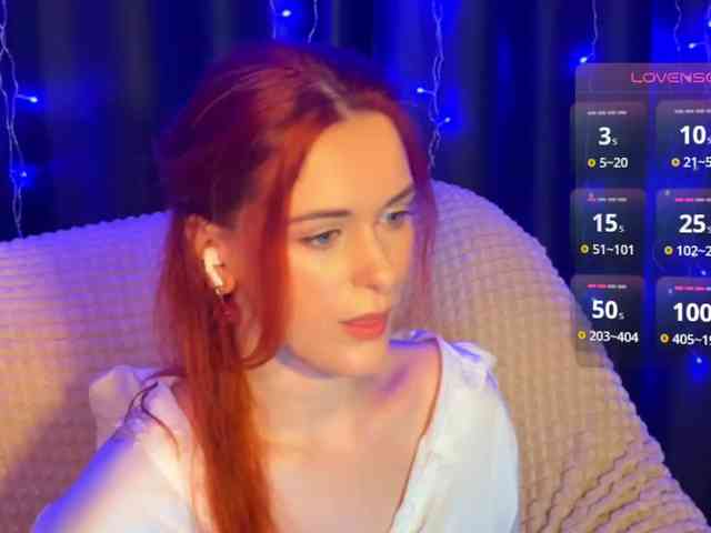 Veks webcam