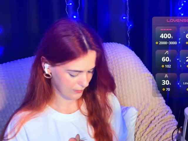 Veks webcam