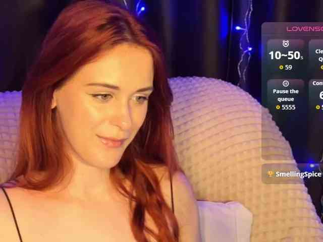 Veks webcam