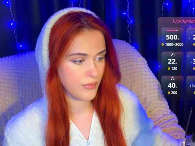 Veks webcam