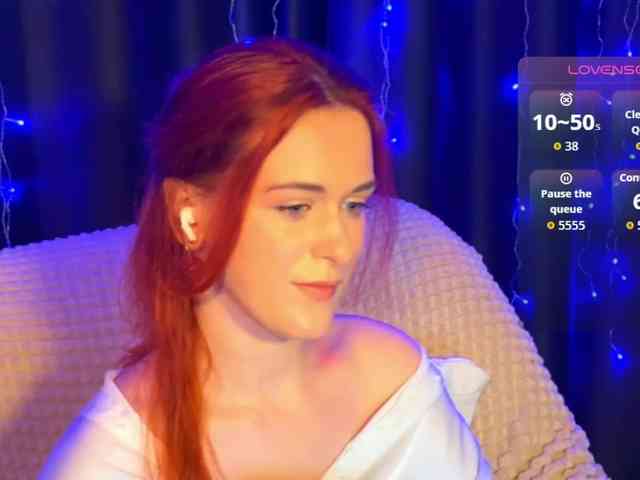 Veks webcam