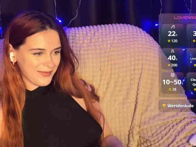 Veks webcam