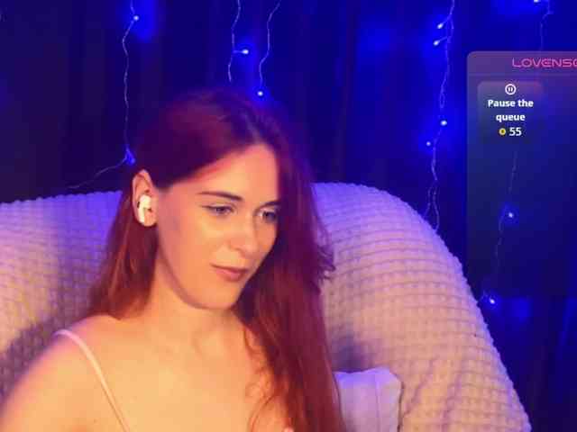 Veks webcam