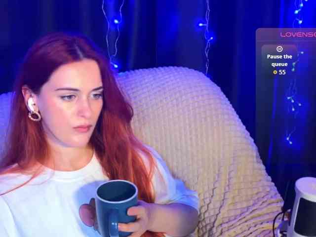Veks webcam