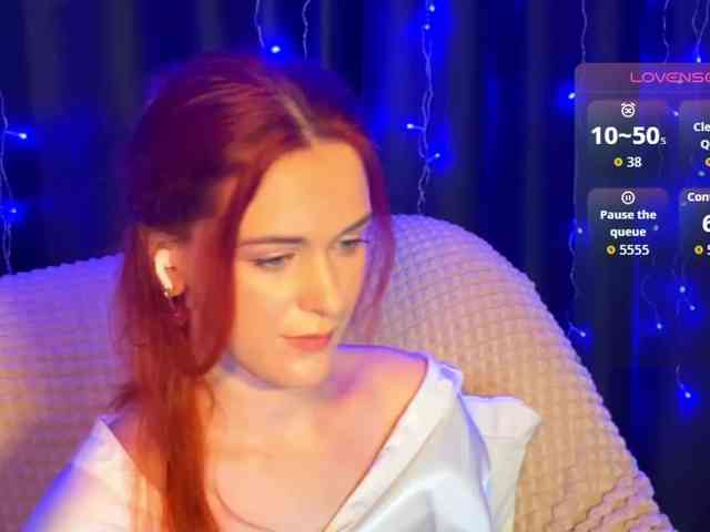 Veks webcam