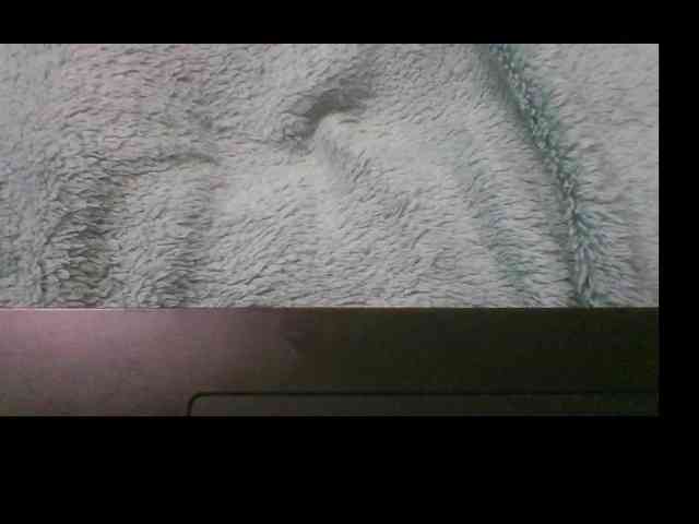 pararam124 webcam