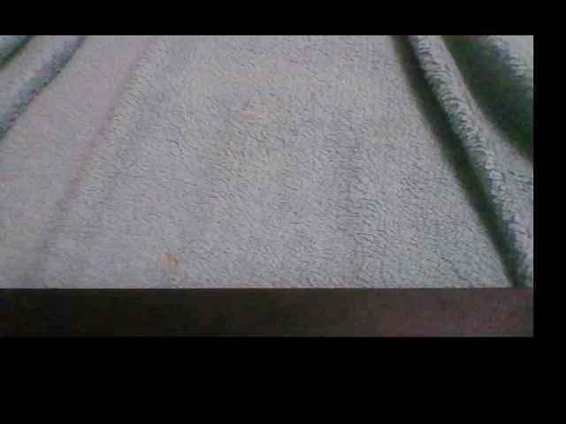 pararam124 webcam