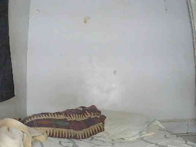 Elisa571 webcam