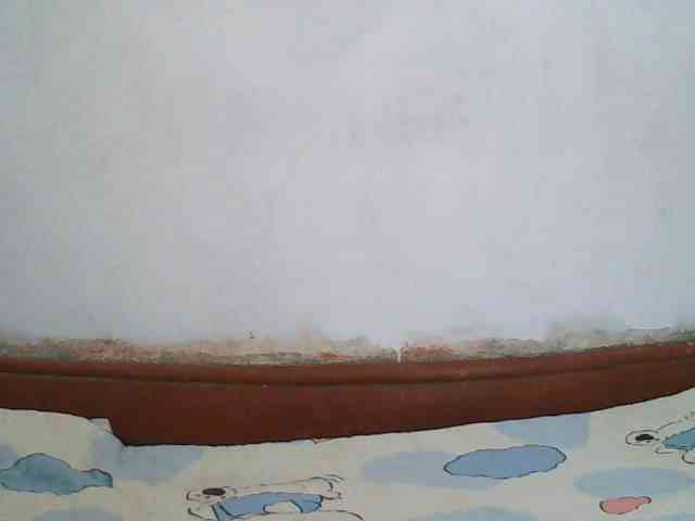 Elisa571 webcam