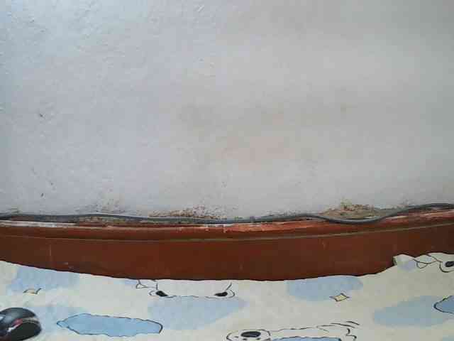 Elisa571 webcam