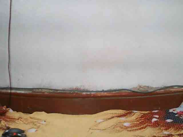 Elisa571 webcam