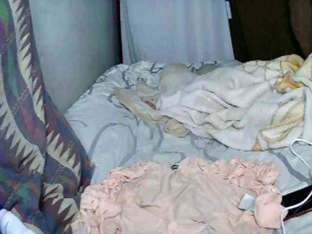 Elisa571 webcam