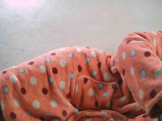 Elisa571 webcam