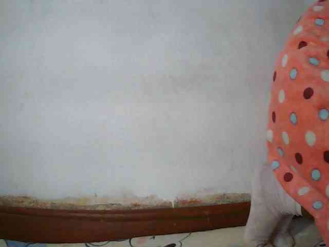 Elisa571 webcam