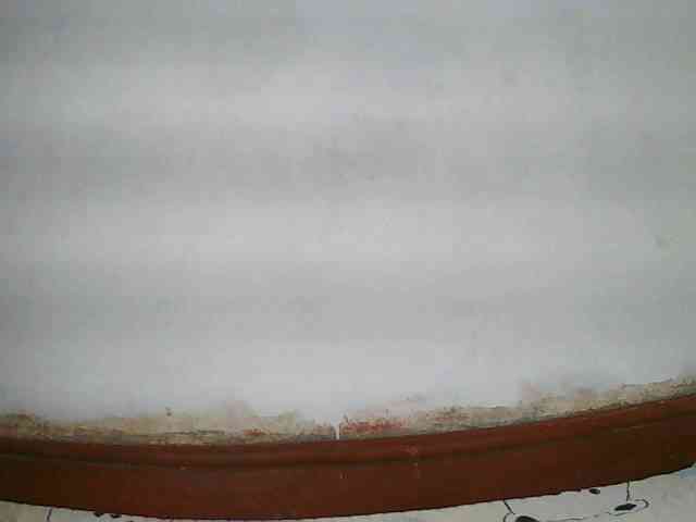 Elisa571 webcam