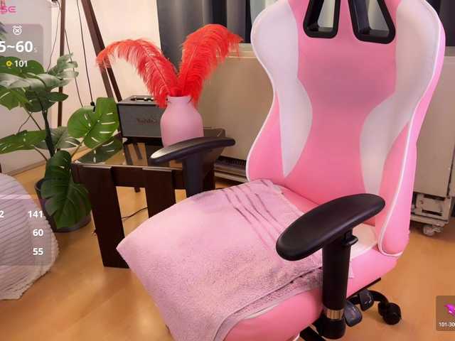 Preview of sakupandora