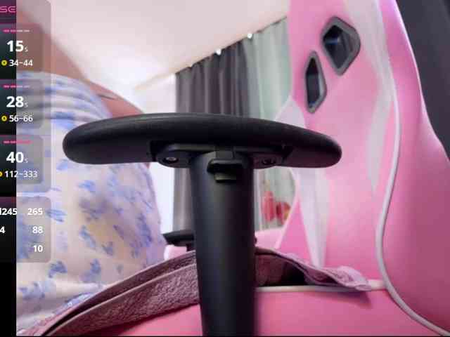SakuPandora webcam