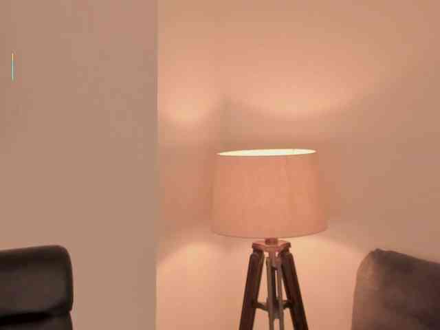 ChristineFord webcam