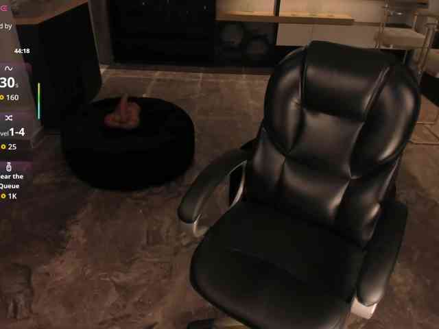 ChristineFord webcam