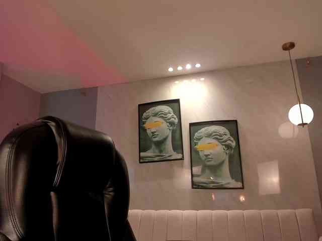 ChristineFord webcam