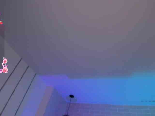 ChristineFord webcam
