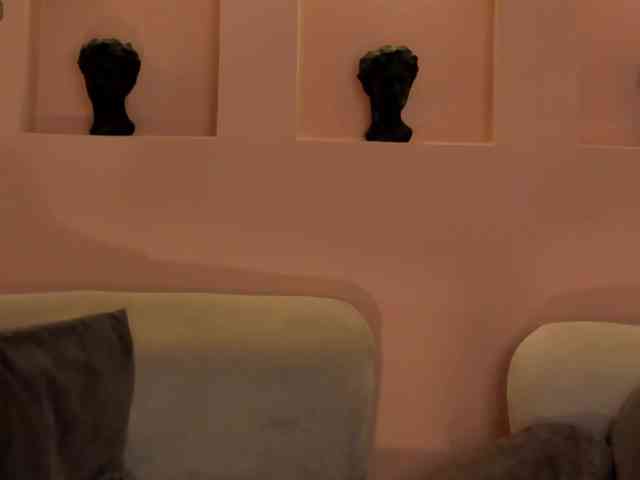ChristineFord webcam