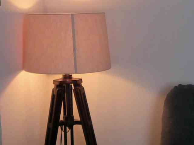 ChristineFord webcam
