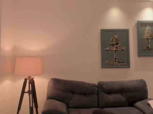 ChristineFord webcam