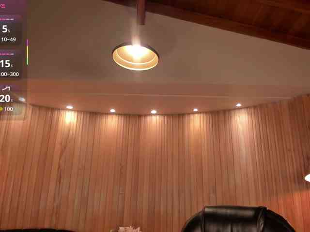 ChristineFord webcam