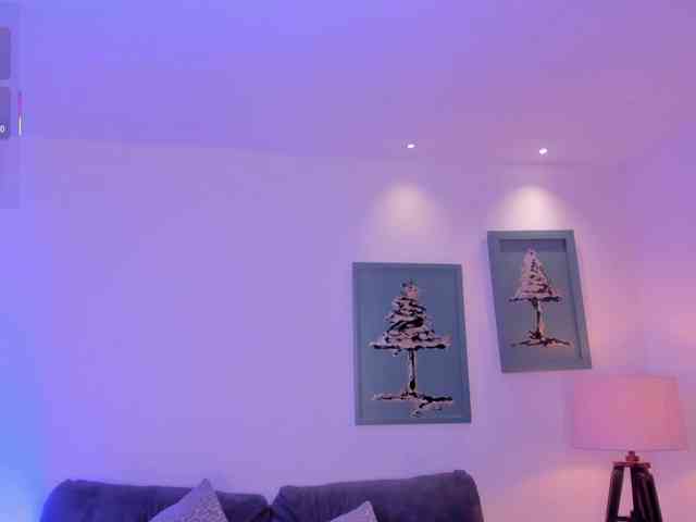 CelesteMoon webcam