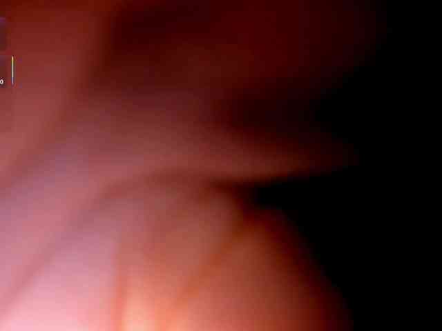 CelesteMoon webcam