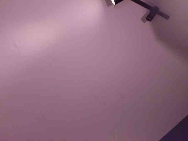 CelesteMoon webcam
