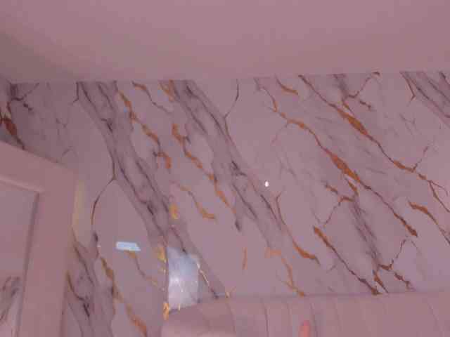 CelesteMoon webcam