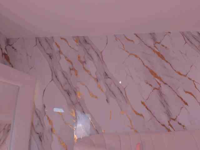 CelesteMoon webcam