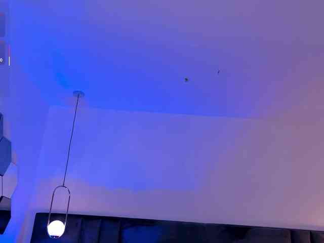CelesteMoon webcam