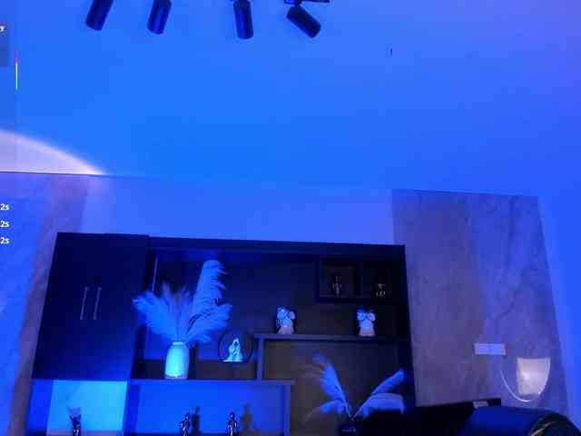 CelesteMoon webcam