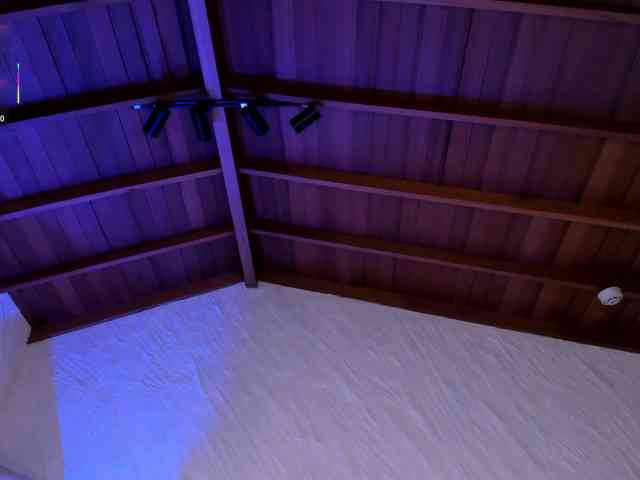 CelesteMoon webcam